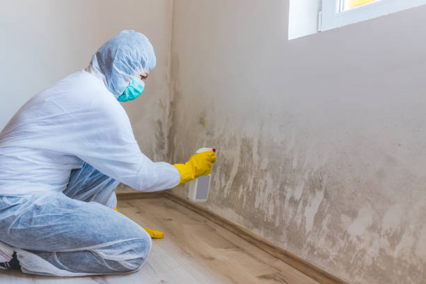 Licensed Crawl Space Mold Removal service in Hayes, VA - WQB Mold Removal