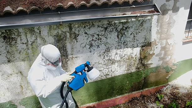 Top rated local Crawl Space Mold Removal specialists in Hayes, VA